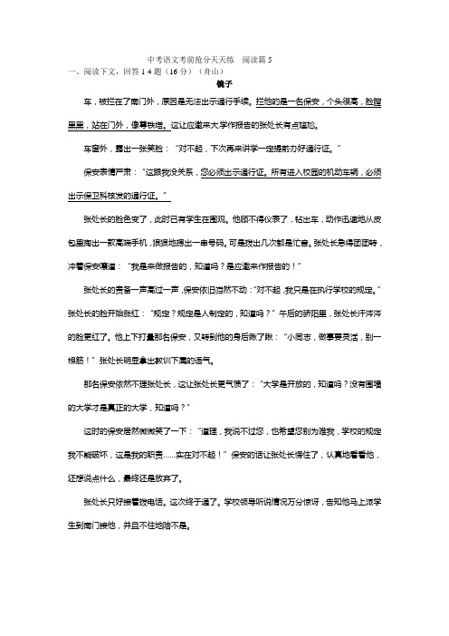 中考语文考前抢分天天练  阅读篇5