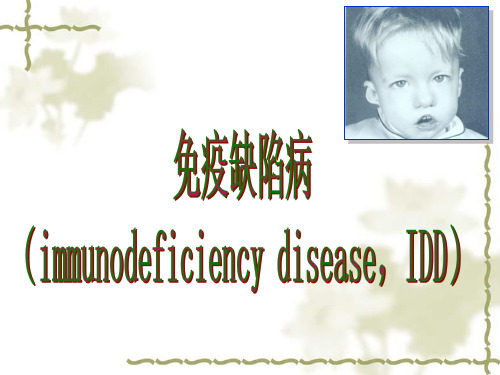 免疫缺陷性疾病 ppt课件
