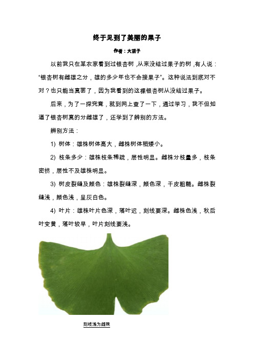 终于见到了美丽的果子