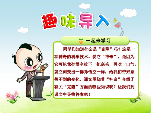 新苏教版五年级语文下册课件：第8课 神奇的克隆