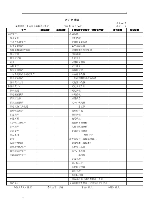 最新格式的资产负债表和利润表