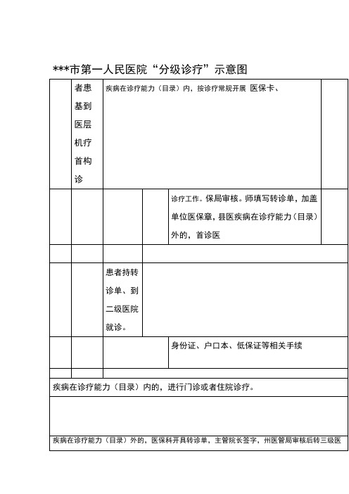 医院分级诊疗示意图-流程图
