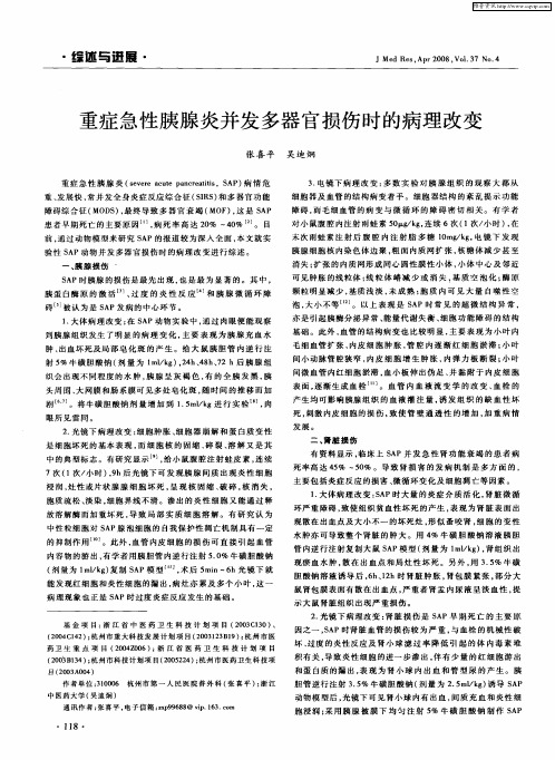 重症急性胰腺炎并发多器官损伤时的病理改变