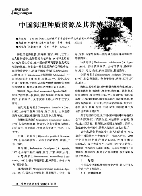 中国海胆种质资源及其养殖与保护