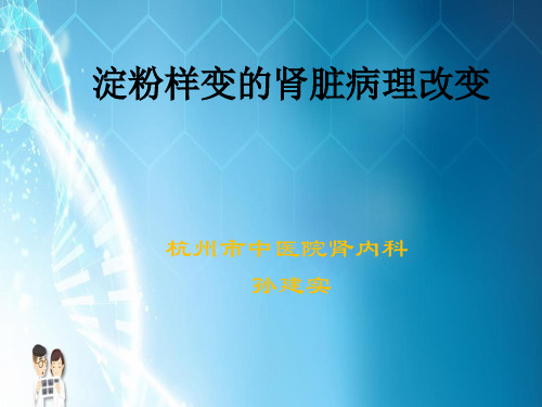 淀粉样变的肾脏病理改变大体PPT课件