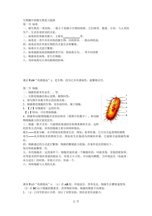 生物圈中的微生物复习提纲