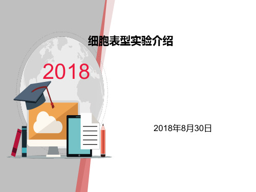 细胞表型实验介绍ppt