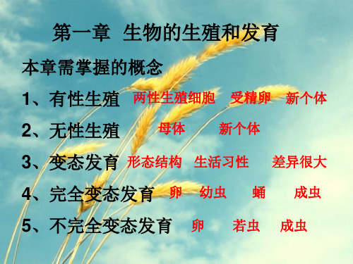 2017春八年级生物下册期末复习ppt 人教版PPT精选课件