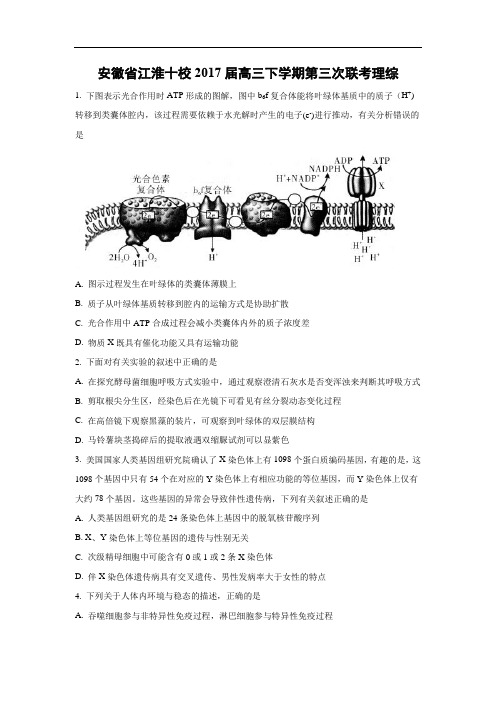 安徽省江淮十校三模