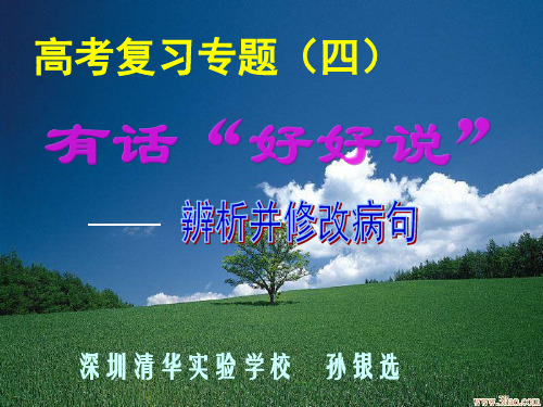 2013年高考语文总复习重点精品课件：辨析及修改病句
