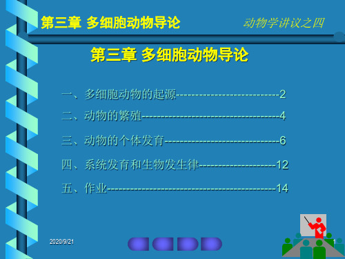 强烈推荐高中生物竞赛动物学第三章多细胞动物导论