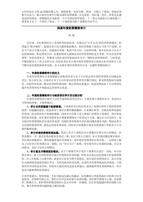 浅谈年度经营绩效审计