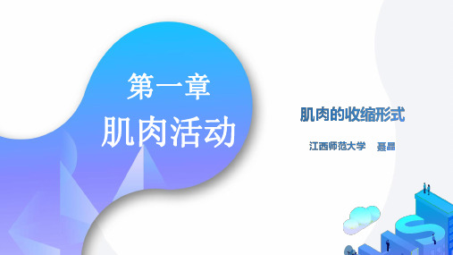 肌肉收缩的力学特征