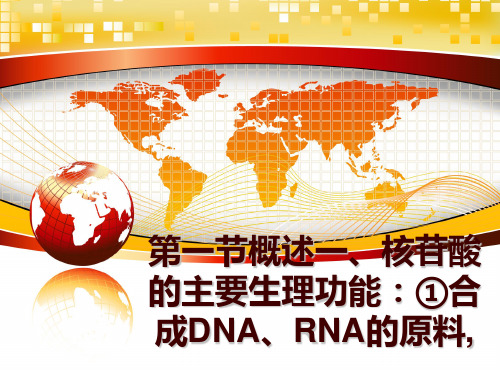 最新第一节概述一、核苷酸的主要生理功能：①合成DNA、RNA的原料,PPT课件
