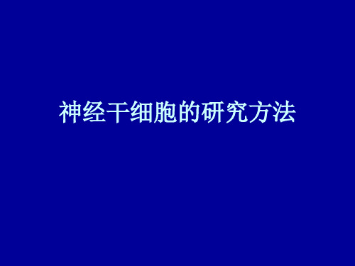 神经干细胞培养方法