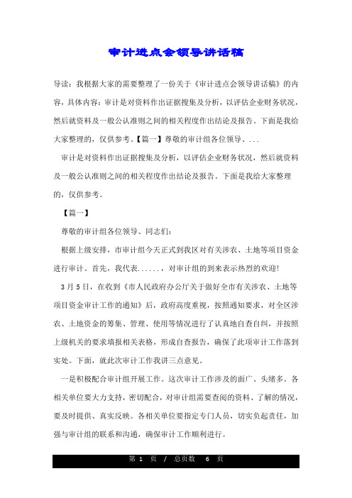 审计进点会领导讲话稿