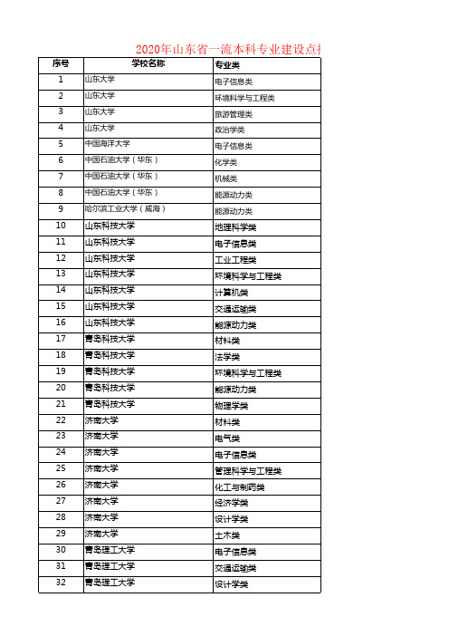 2020年山东省高校(大学)一流本科专业建设点推荐名单