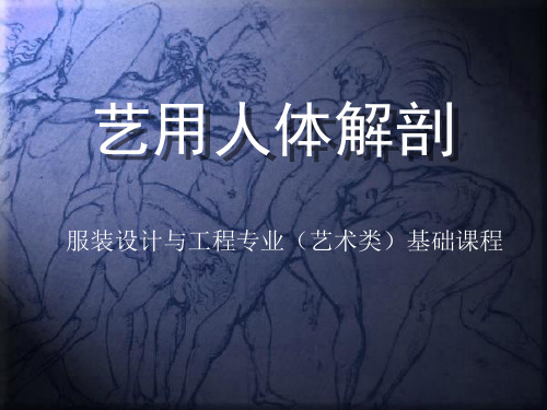 艺用人体解剖