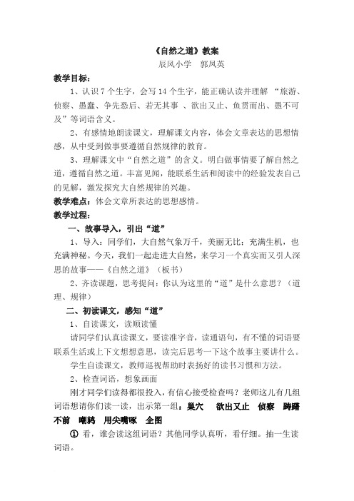自然之道教案和反思