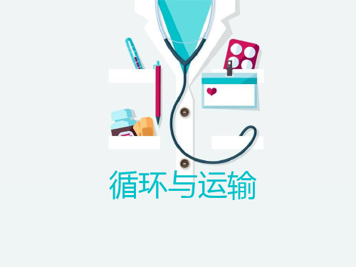 六年级下册科学课件-2.7 循环与运输｜冀教版  (共16张PPT)