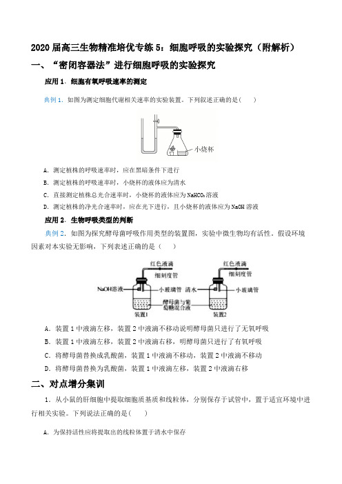 2020届高三生物精准培优专练5：细胞呼吸的实验探究(附解析)