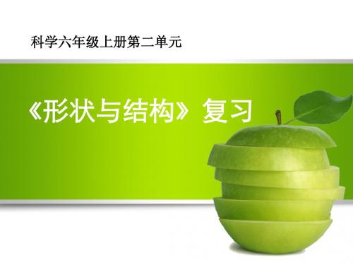 第二单元《形状与结构》复习
