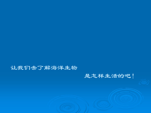 海洋世界PPT课件