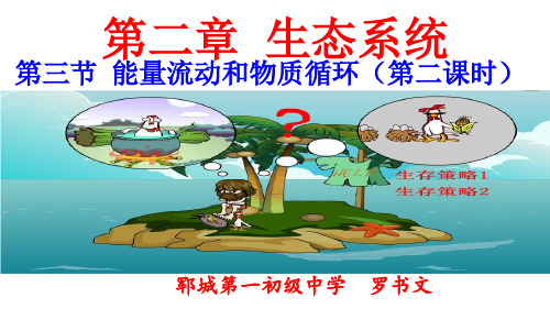 济南版八年级生物下册6.2.3能量流动和物质循环(第二课时)(共17张PPT)