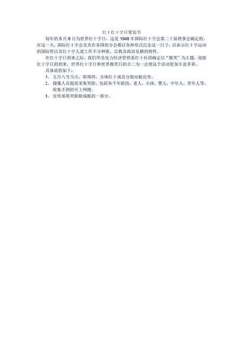 红十字日策划书