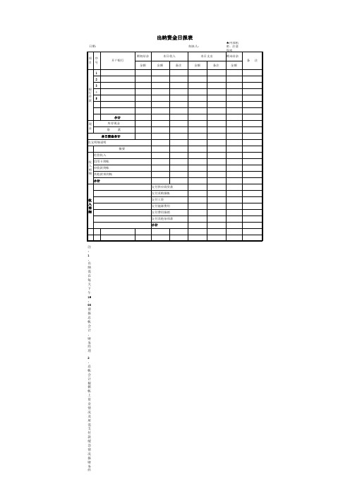 出纳资金日报表
