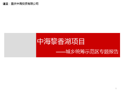 中海南川黎香湖项目_中国城乡统筹示范区专题报告39页PPT文档