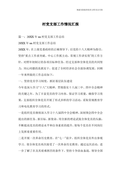 村党支部工作情况汇报