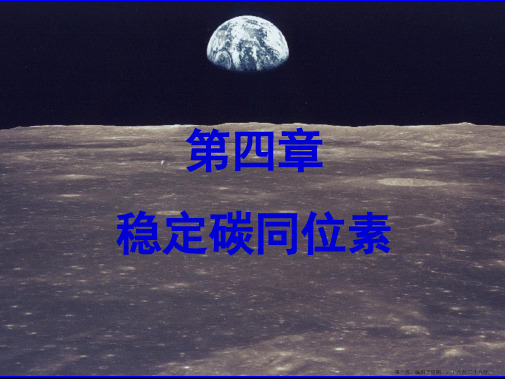 04_第四章(碳同位素)