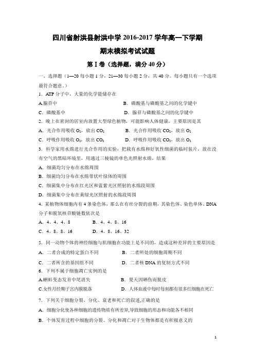 生物-四川省射洪县射洪中学2016-2017学年高一下学期期末模拟考试试题