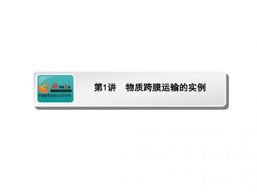 高考生物(人教版)一轮复习课件：物质跨膜运输的实例