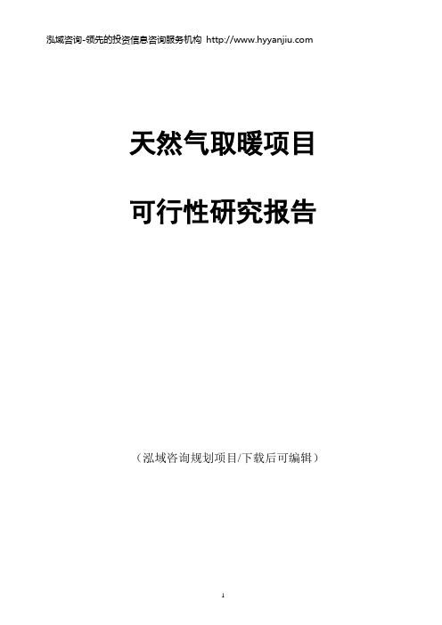 天然气取暖投资建设项目可行性研究报告