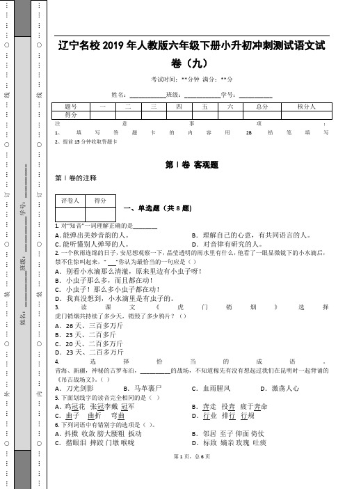 _辽宁名校2019年人教版六年级下册小升初冲刺测试语文试卷(九)_