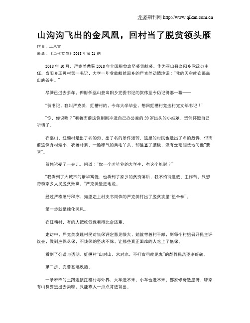 山沟沟飞出的金凤凰,回村当了脱贫领头雁