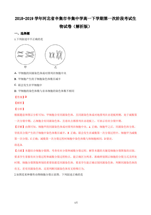 2018-2019学年河北省辛集市辛集中学高一下学期第一次阶段考试生物试卷(解析版)