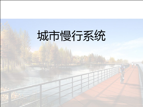 (精品)慢行系统描述