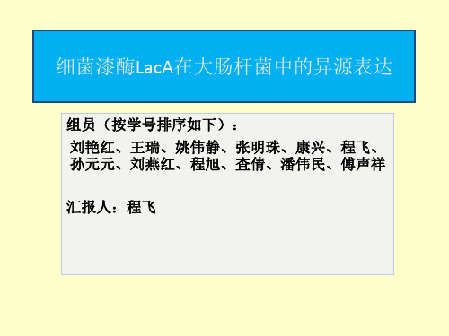 细菌漆酶LacA在大肠杆菌中的异源表达.