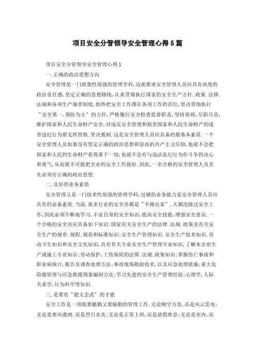 项目安全分管领导安全管理心得5篇