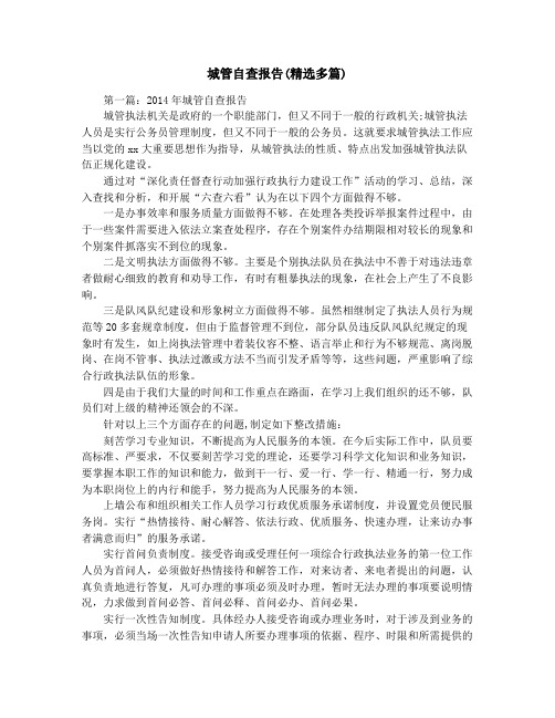 城管自查报告(精选多篇)