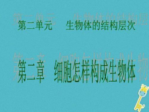 广东省2018年中考生物第二单元生物体的结构层次第二章细胞怎样构成生物体课件