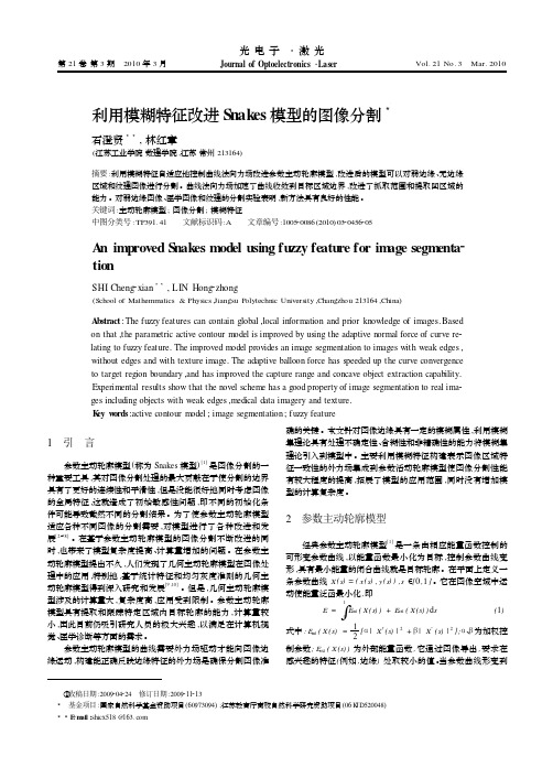 利用模糊特征改进Snakes模型的图像分割