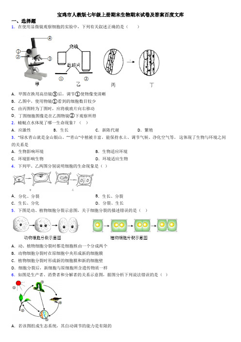 宝鸡市人教版七年级上册期末生物期末试卷及答案百度文库