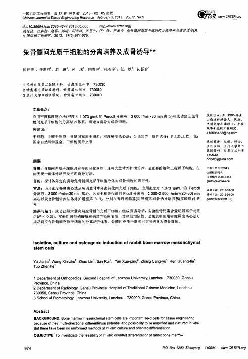 兔骨髓间充质干细胞的分离培养及成骨诱导