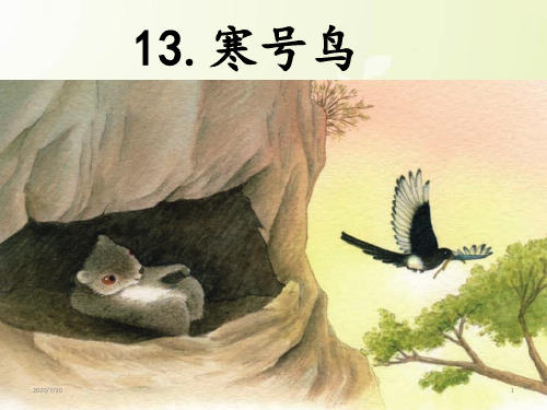 二年级上册语文课件-13 寒号鸟-部编版)(共19张PPT)