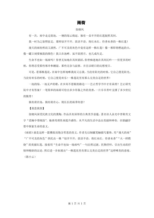初中语文晨读美文：雨荷