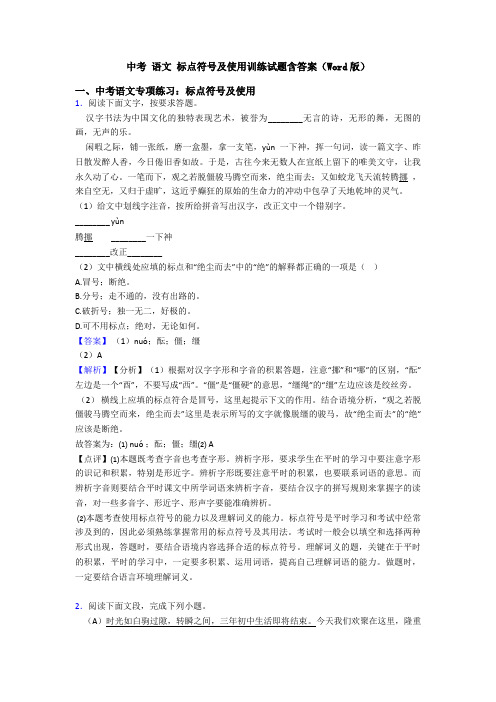 中考 语文 标点符号及使用训练试题含答案(Word版)